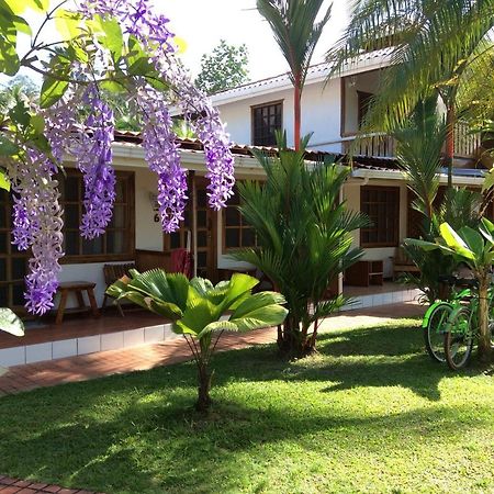 Posada Nena Caribe Puerto Viejo de Talamanca Eksteriør billede