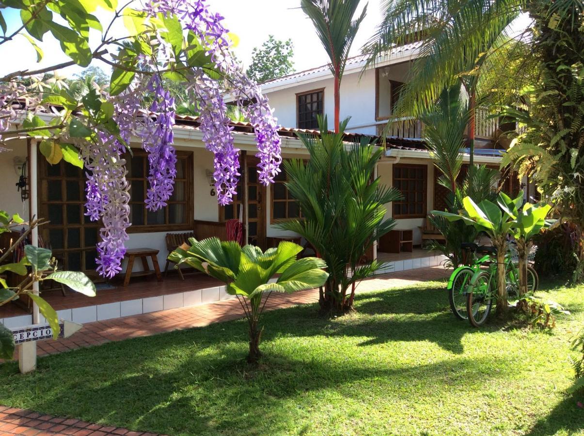 Posada Nena Caribe Puerto Viejo de Talamanca Eksteriør billede