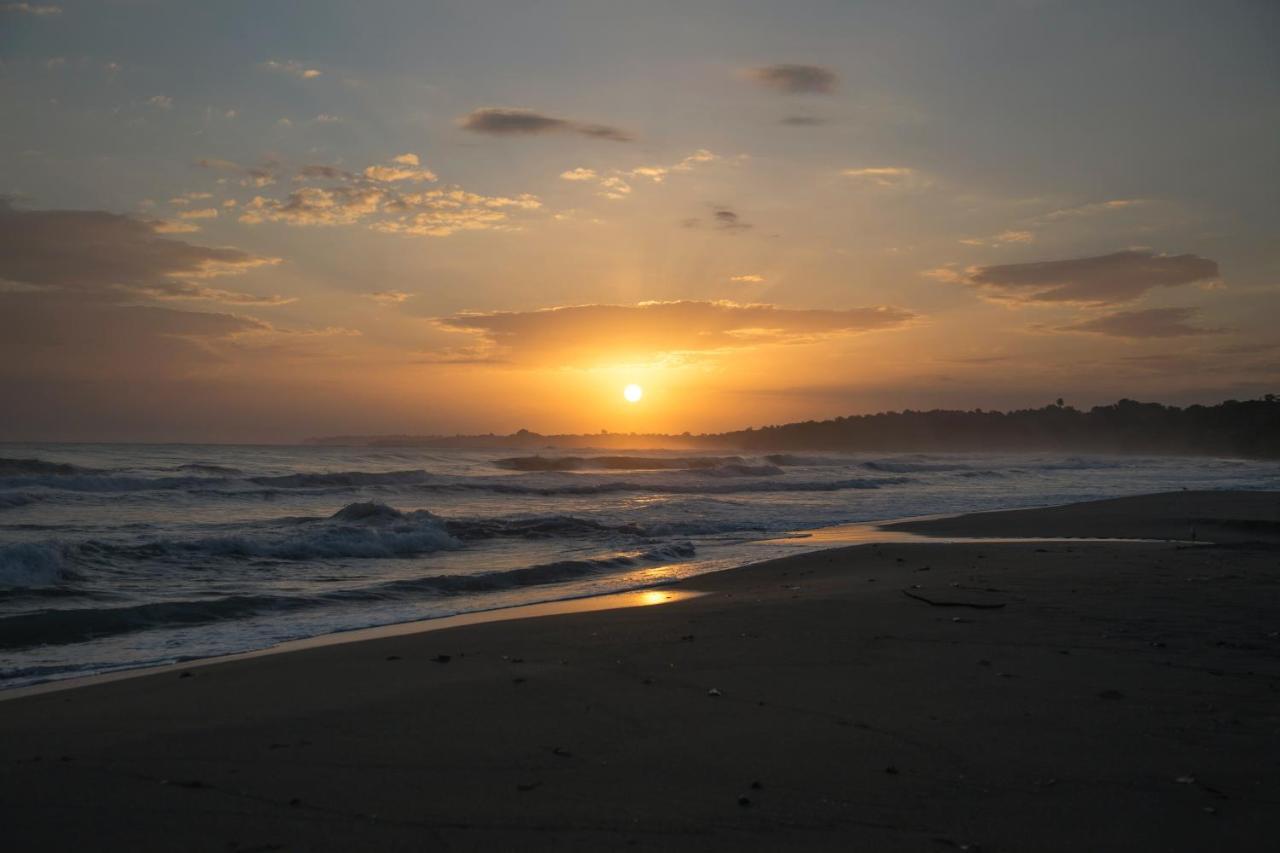 Posada Nena Caribe Puerto Viejo de Talamanca Eksteriør billede