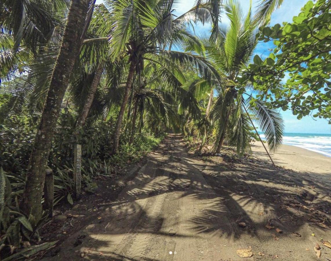 Posada Nena Caribe Puerto Viejo de Talamanca Eksteriør billede