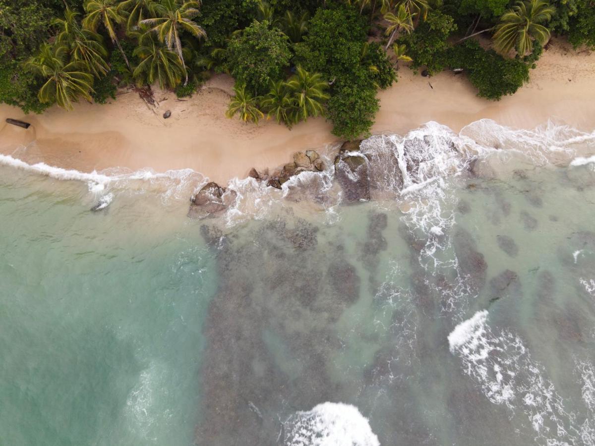 Posada Nena Caribe Puerto Viejo de Talamanca Eksteriør billede
