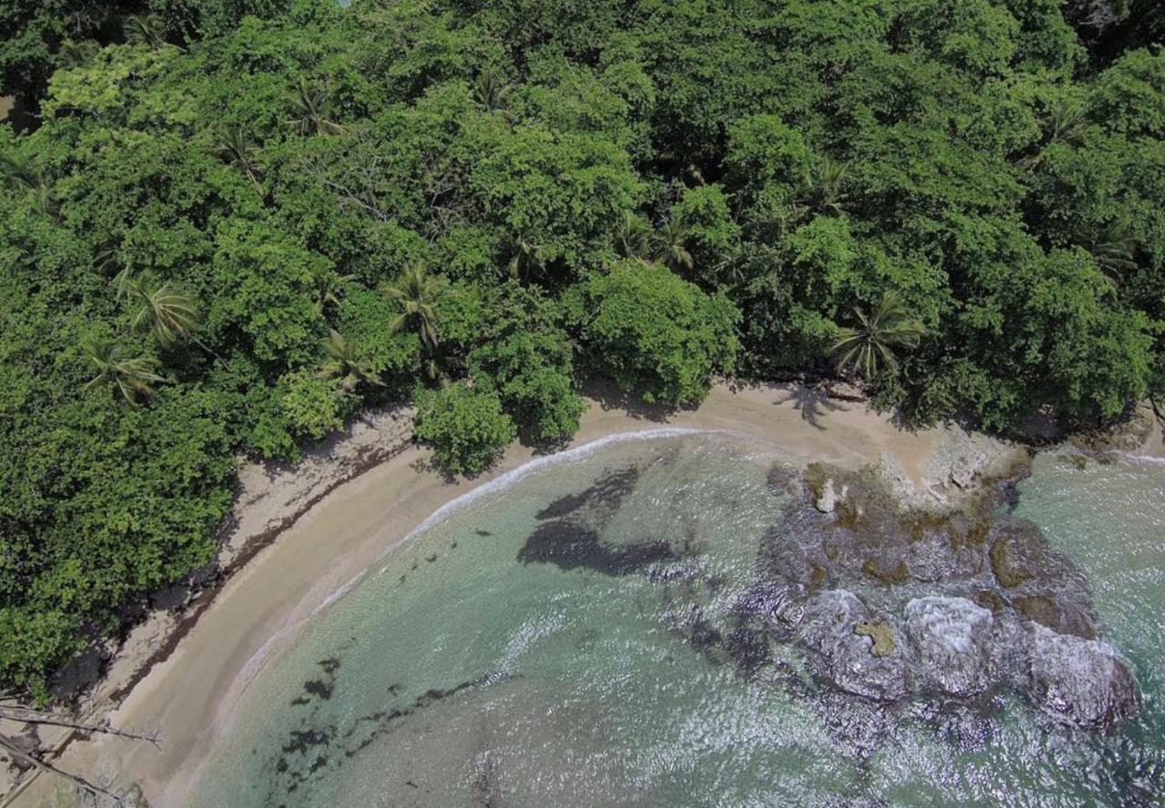 Posada Nena Caribe Puerto Viejo de Talamanca Eksteriør billede