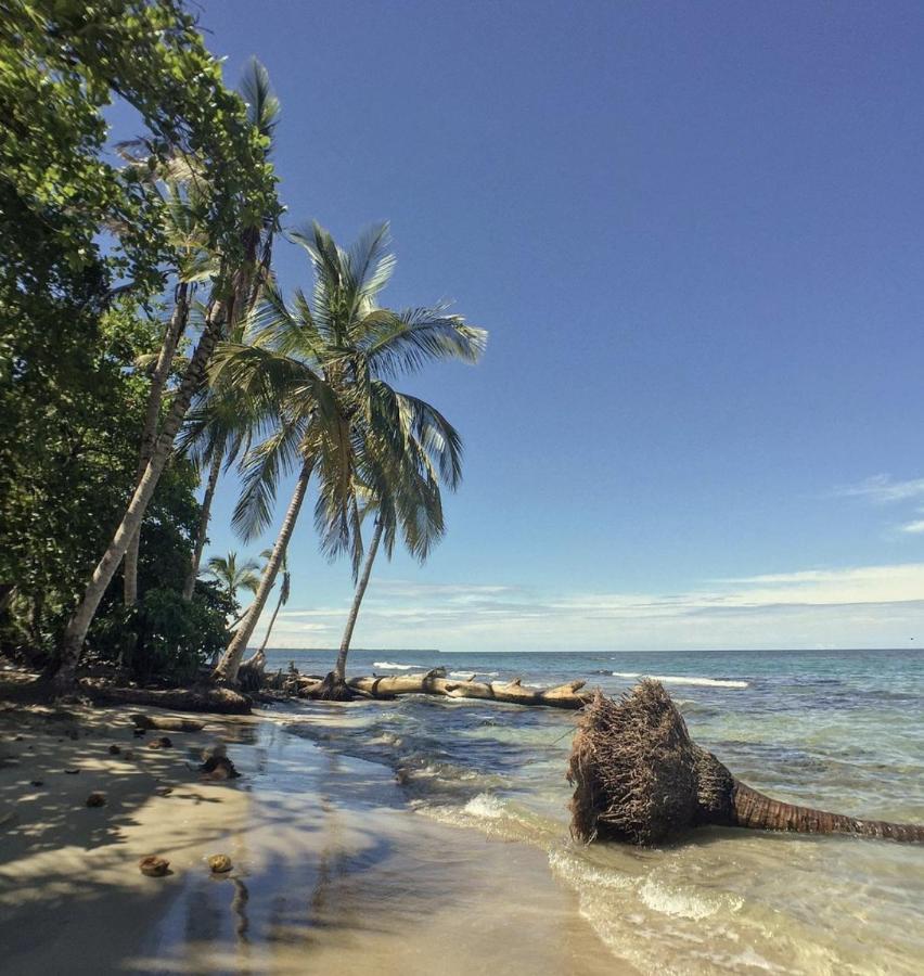 Posada Nena Caribe Puerto Viejo de Talamanca Eksteriør billede