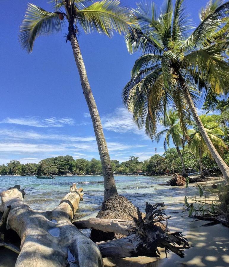 Posada Nena Caribe Puerto Viejo de Talamanca Eksteriør billede