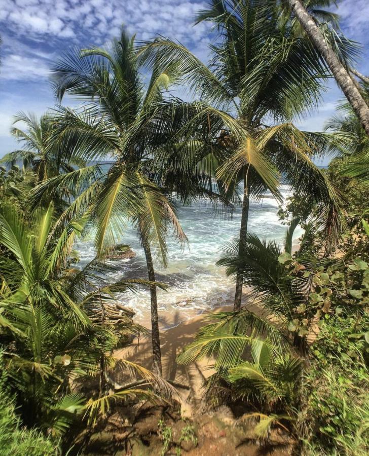 Posada Nena Caribe Puerto Viejo de Talamanca Eksteriør billede