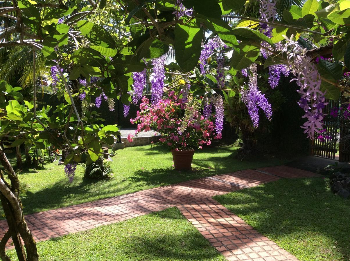 Posada Nena Caribe Puerto Viejo de Talamanca Eksteriør billede