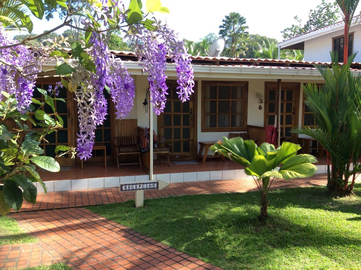Posada Nena Caribe Puerto Viejo de Talamanca Eksteriør billede